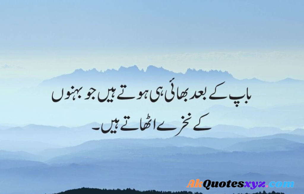 Brother Quotes in Urdu