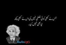 Albert Einstein Smart quotes in urdu