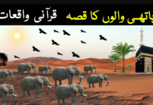 ہاتھی والوں کا قصہ