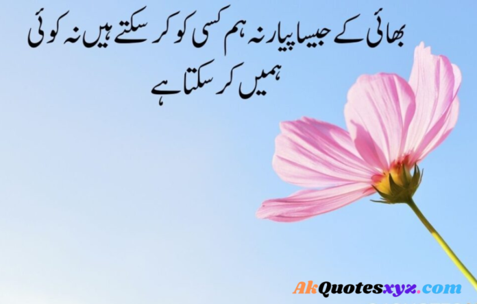 Brother Quotes in urdu