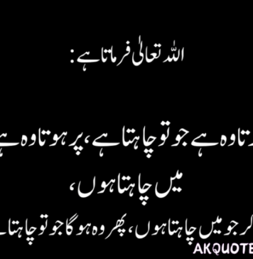 Islamic Quotes in Urdu