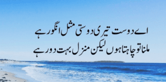 Friends Quotes in Urdu Friends Quotes in Urdu