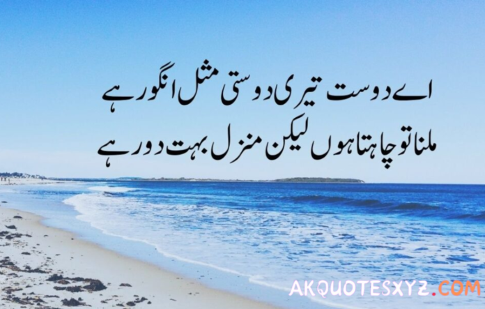 Friends Quotes in Urdu