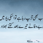 Best Sad Quotes in Urdu