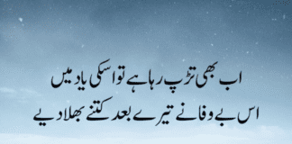 Best Sad Quotes in Urdu
