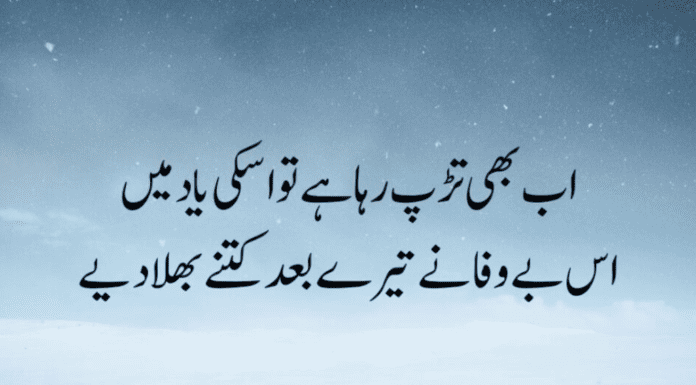 Best Sad Quotes in Urdu