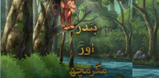 بندر اور مگرمچھ